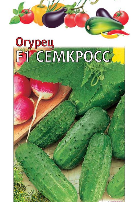 Огурец F1 Семкросс