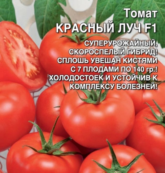 

томат красный луч семена, томат красный луч семена купить