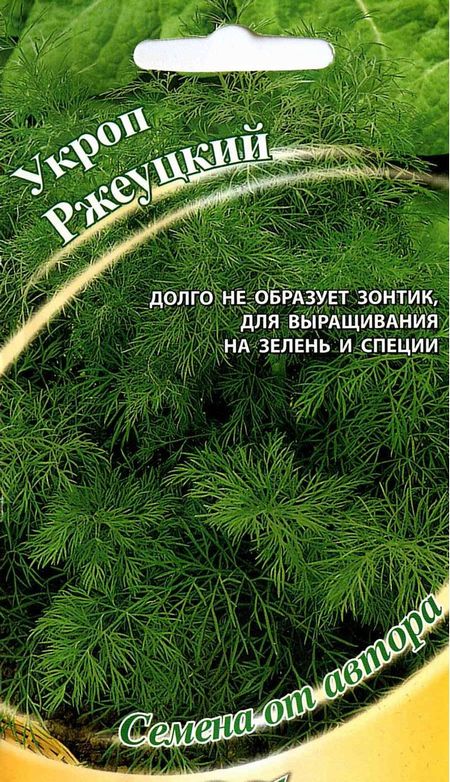 Укроп Ржеуцкий