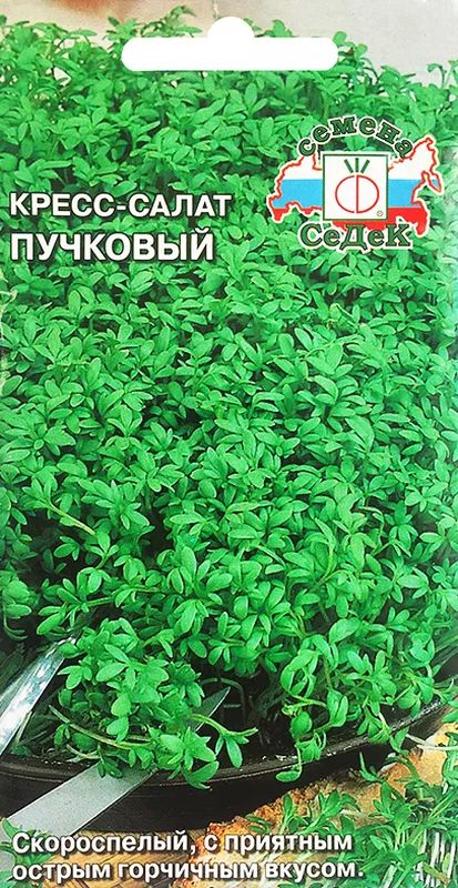 

кресс-салат пучковый семена, кресс-салат пучковый семена купить