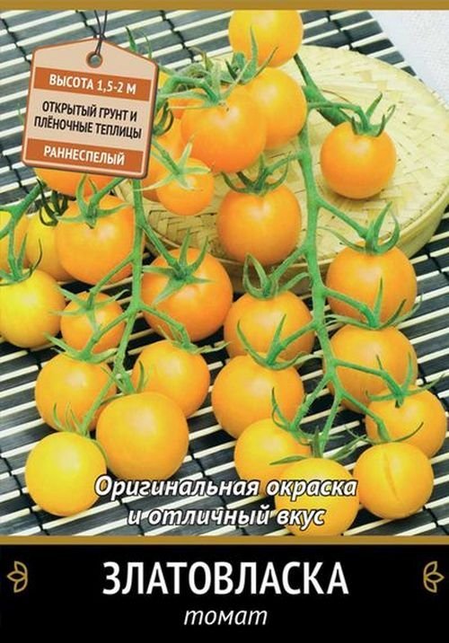 Томат Златовласка