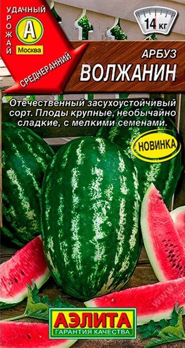 

арбуз волжанин семена, арбуз волжанин семена купить