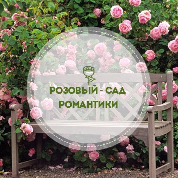 Розовый: сад романтики!