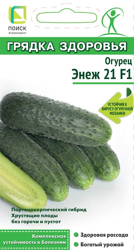 

огурец энеж 21 f1 семена, огурец энеж 21 f1 семена купить