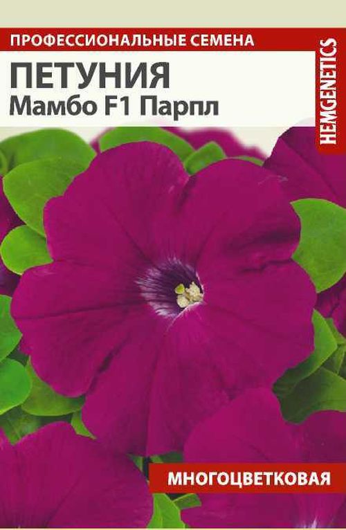 

петуния мамбо парпл f1 семена, петуния мамбо парпл f1 семена купить