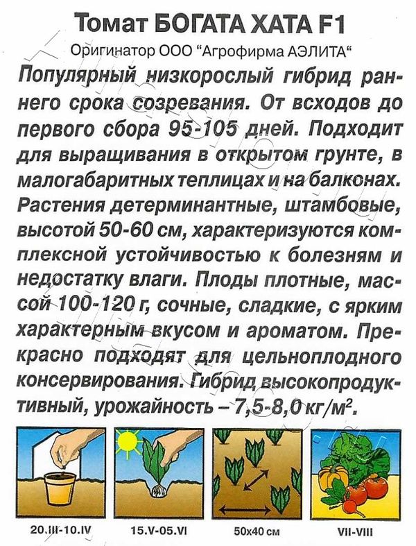 Сорт томатов богата хата отзывы фото