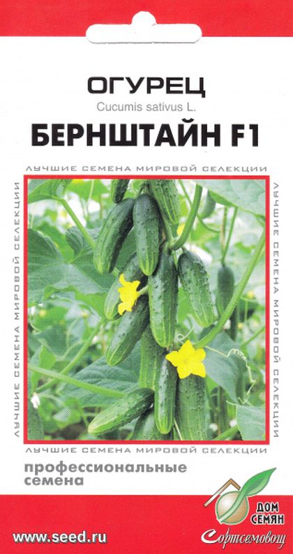 Огурец Бернштайн F1