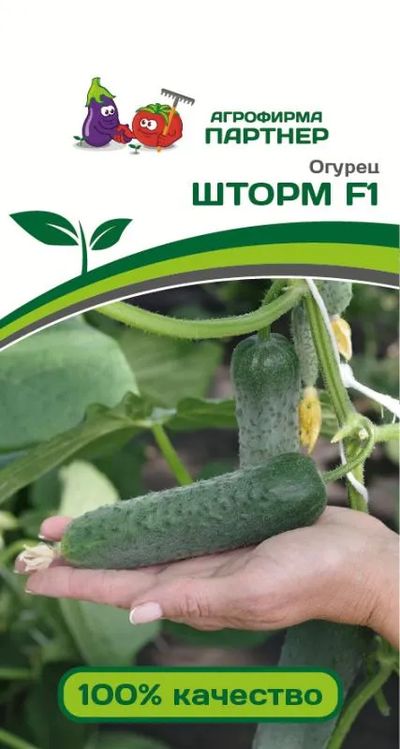 

огурец шторм f1 семена, огурец шторм f1 семена купить