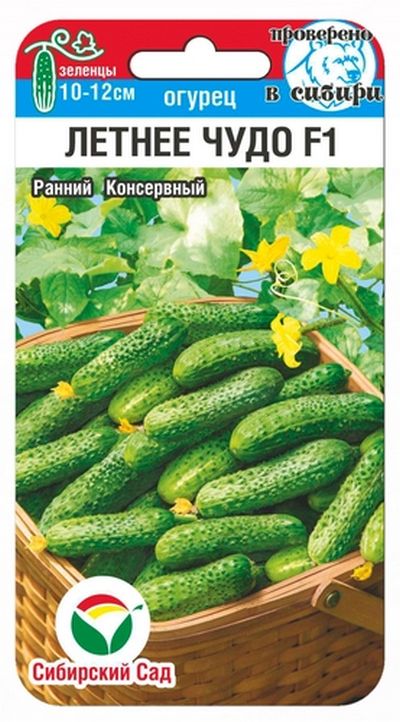 Огурец Летнее чудо