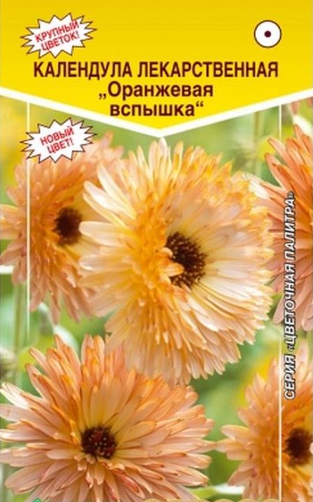 Календула лекарственная Оранжевая Вспышка