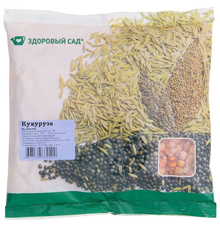 Кукуруза на початок