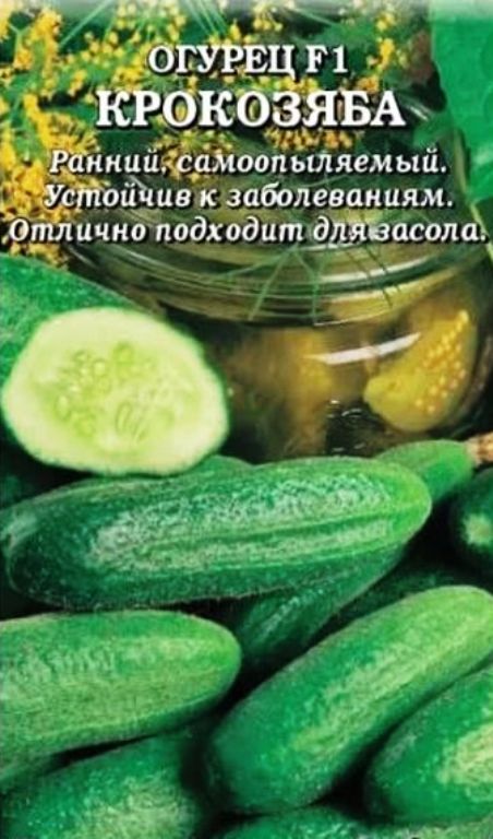Огурец Крокозяба F1