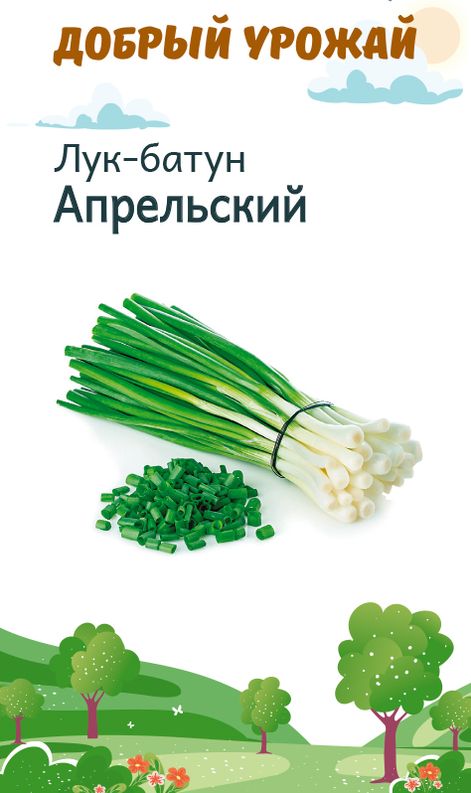 Лук батун Апрельский