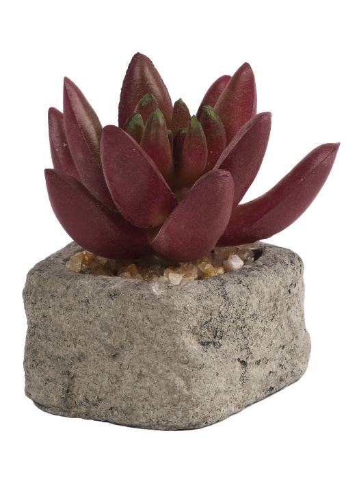 Декоративное растение Красный Суккулент в кашпо из бетона - купить с доставкой