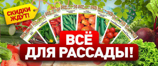 Выгодный старт!