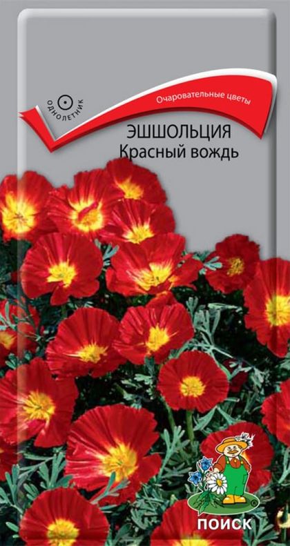 Эшшольция Красный вождь