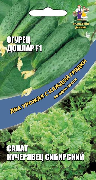 

огурец доллар f1 + салат кучерявец сибирский семена, огурец доллар f1 + салат кучерявец сибирский семена купить