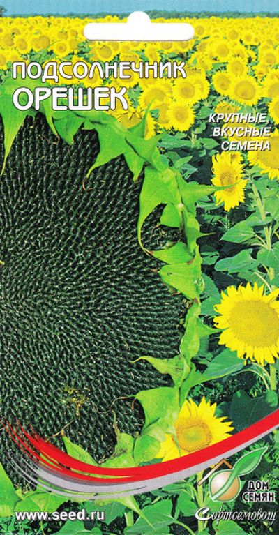 

подсолнечник орешек семена, подсолнечник орешек семена купить