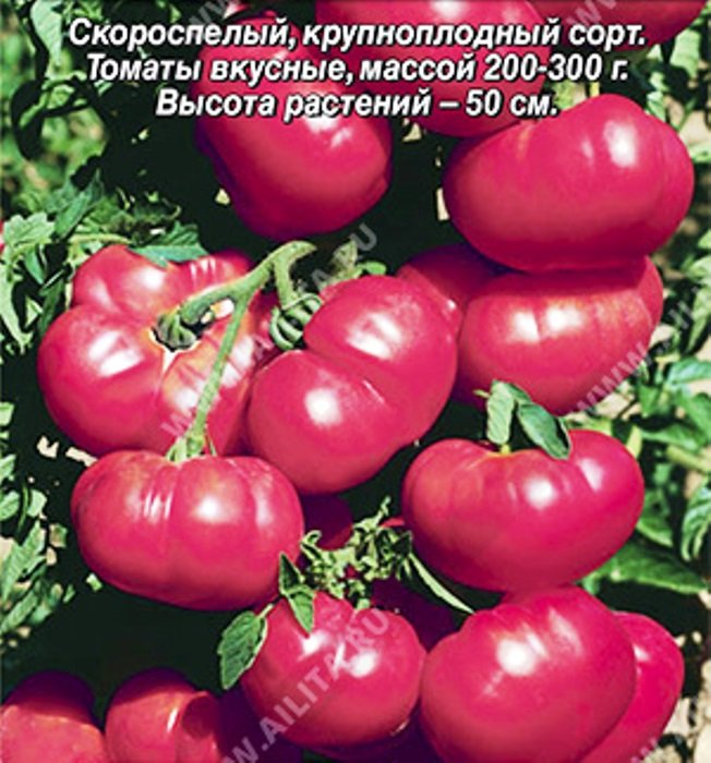 

томат малиновая рапсодия ® семена, томат малиновая рапсодия ® семена купить