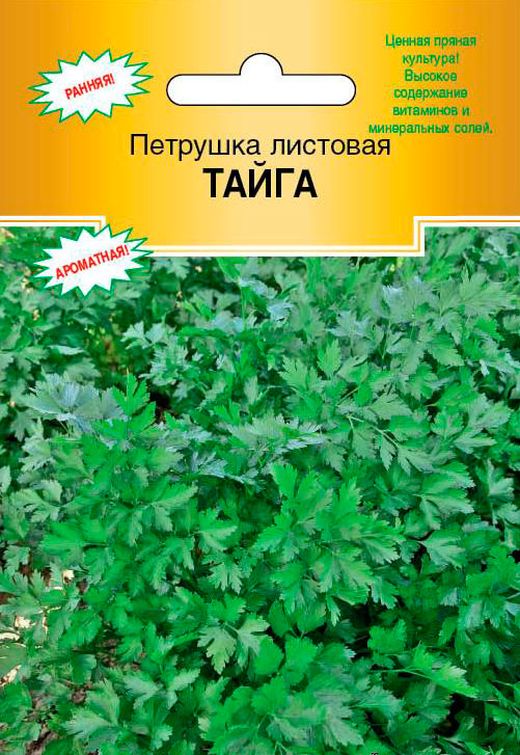 Петрушка листовая Тайга
