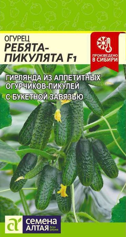 

огурец ребята-пикулята f1 семена, огурец ребята-пикулята f1 семена купить