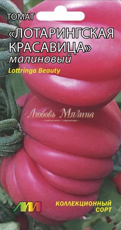

томат лотарингская красавица малиновая семена, томат лотарингская красавица малиновая семена купить