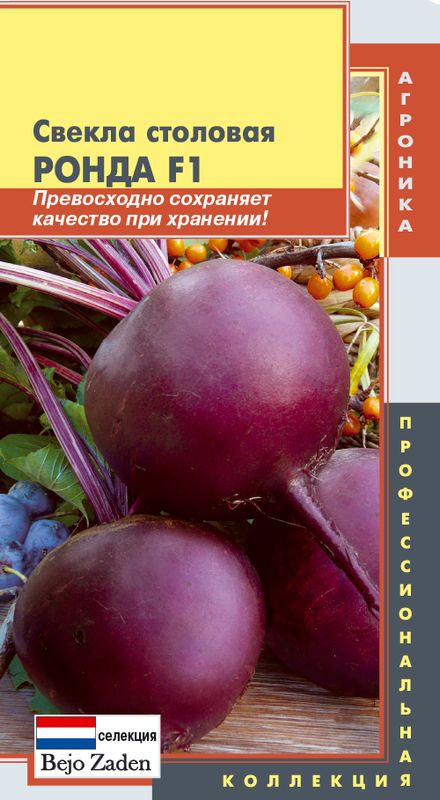 

свекла столовая ронда f1 семена, свекла столовая ронда f1 семена купить