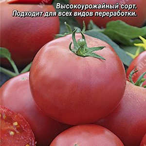 

томат сытый папа® семена, томат сытый папа® семена купить