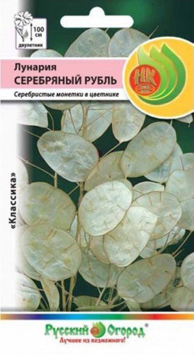 Лунария Серебряный рубль