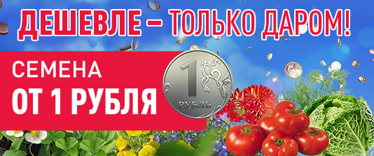 Невероятно, но факт!