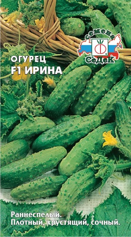

огурец f1 ирина семена, огурец f1 ирина семена купить