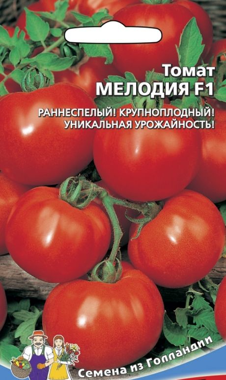 

томат мелодия f1 семена, томат мелодия f1 семена купить
