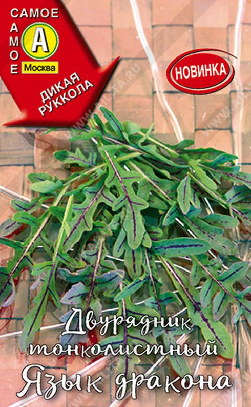 Двурядник тонколистный Язык дракона