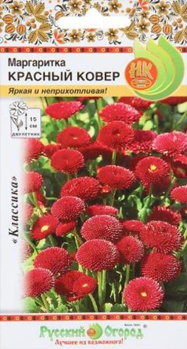 Маргаритка Красный ковер