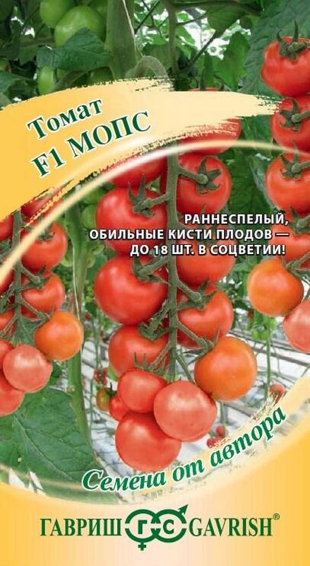 

томат мопс f1 семена, томат мопс f1 семена купить