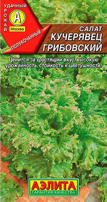 

салат полукочанный кучерявец грибовский семена, салат полукочанный кучерявец грибовский семена купить