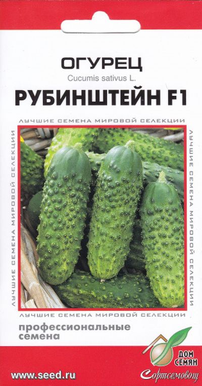 Огурец Рубинштейн F1