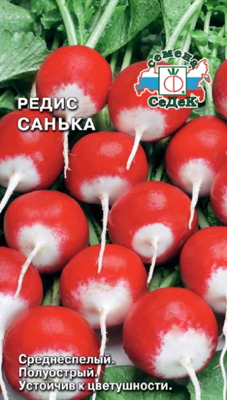 

редис санька семена, редис санька семена купить