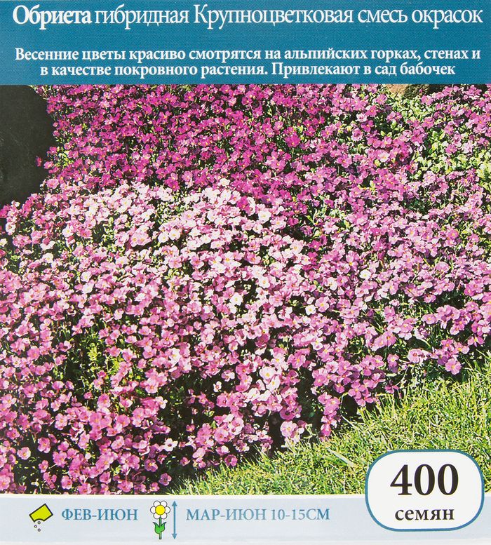 Обриета гибридная Крупноцветковая, смесь окрасок
