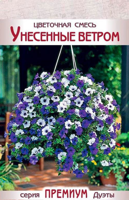 Цветочная смесь Унесенные Ветром