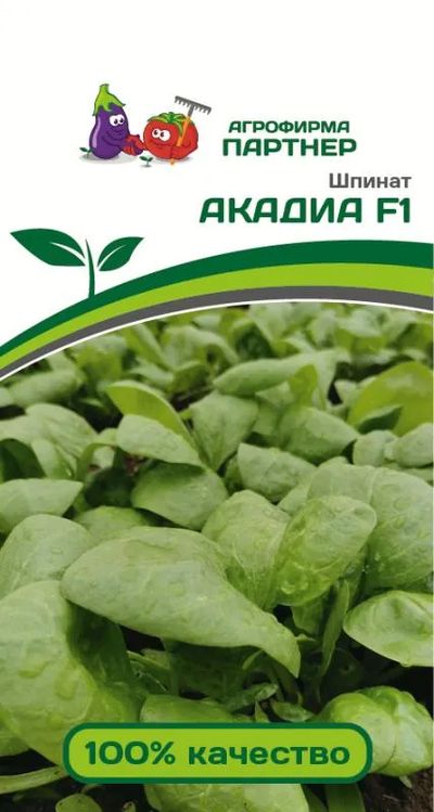 Шпинат Акадиа F1