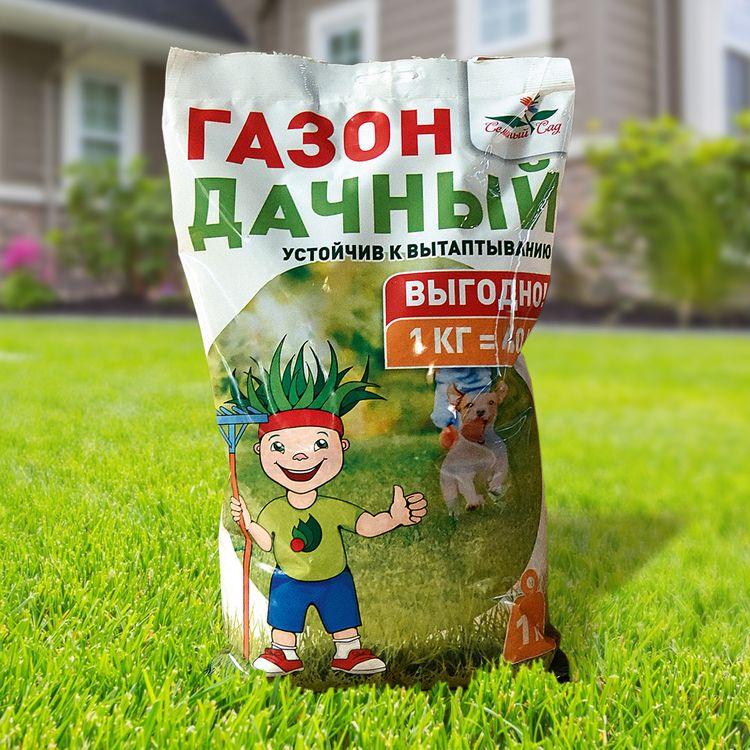 

Семена Газон Дачный 1 кг.