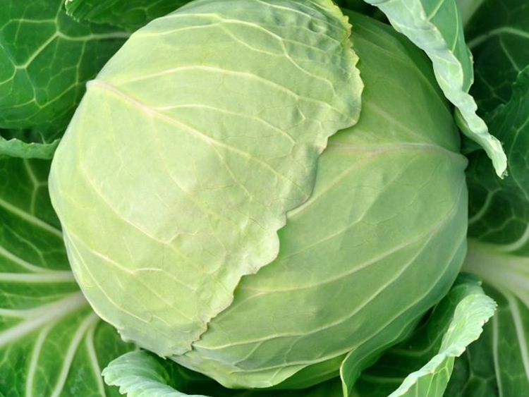 Ученые развеяли миф о существовании "суперпродуктов". Московские новости. Москов