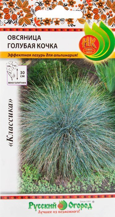 Овсяница Голубая кочка