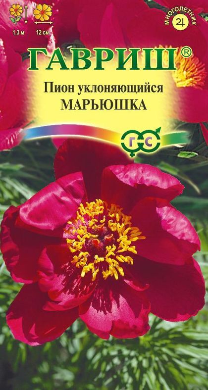 

пион уклоняющийся марьюшка семена, пион уклоняющийся марьюшка семена купить