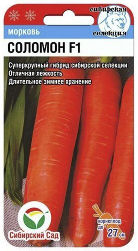 

морковь f1 соломон семена, морковь f1 соломон семена купить