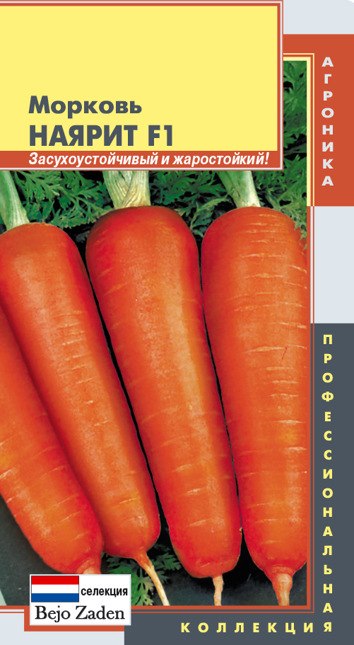 Морковь Наярит F1 описание сорта, фото, отзывы, посадка и уход