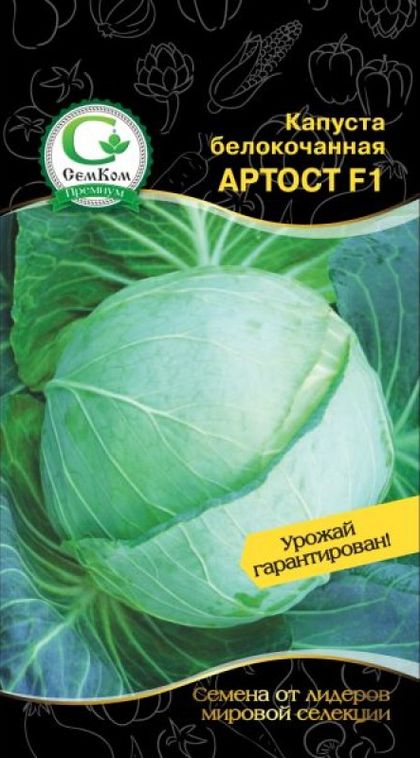 Капуста б/к Артост F1
