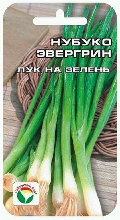 

лук на зелень нубуко эвергрин семена, лук на зелень нубуко эвергрин семена купить