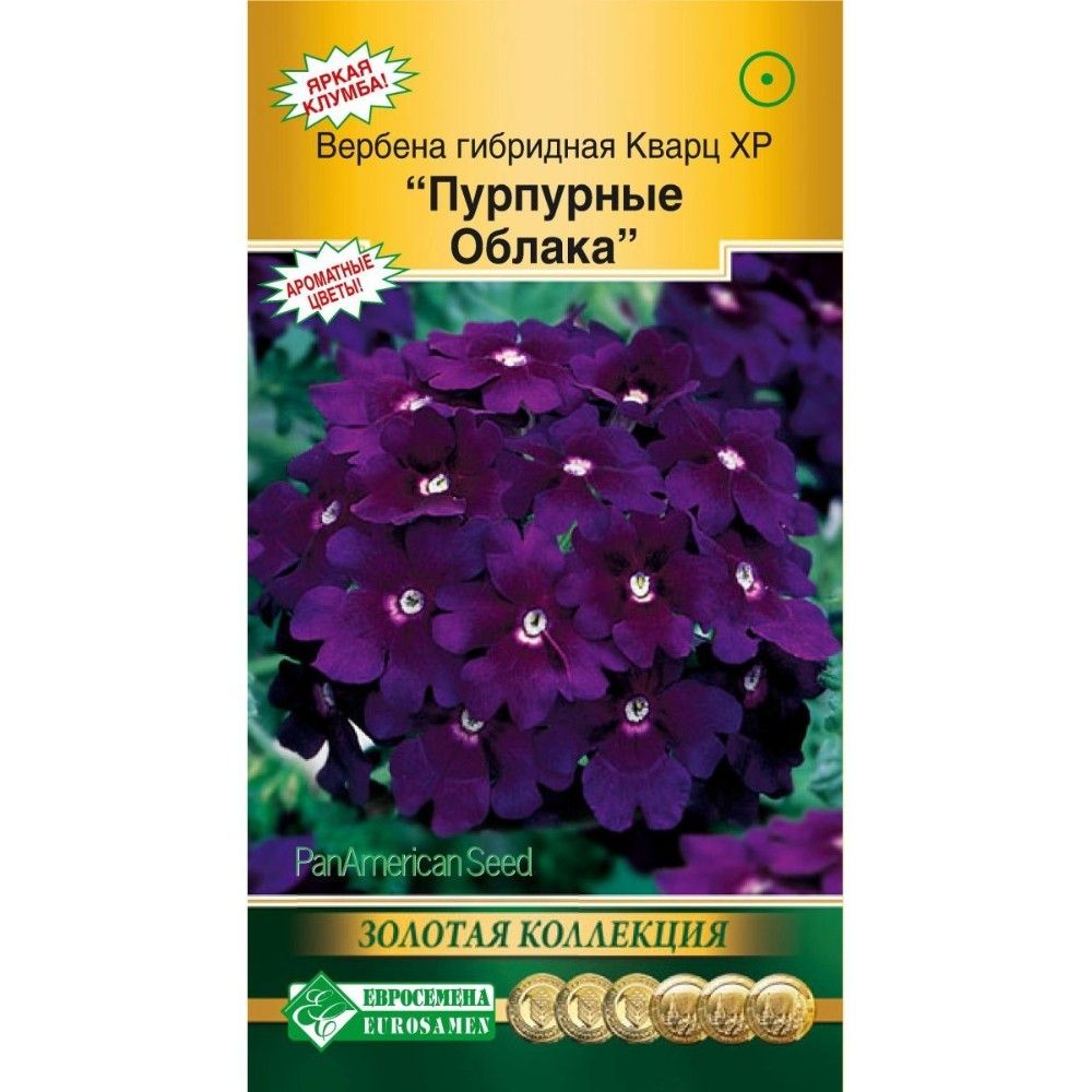 Купить Семена Вербены Бонарской В Интернет Магазине